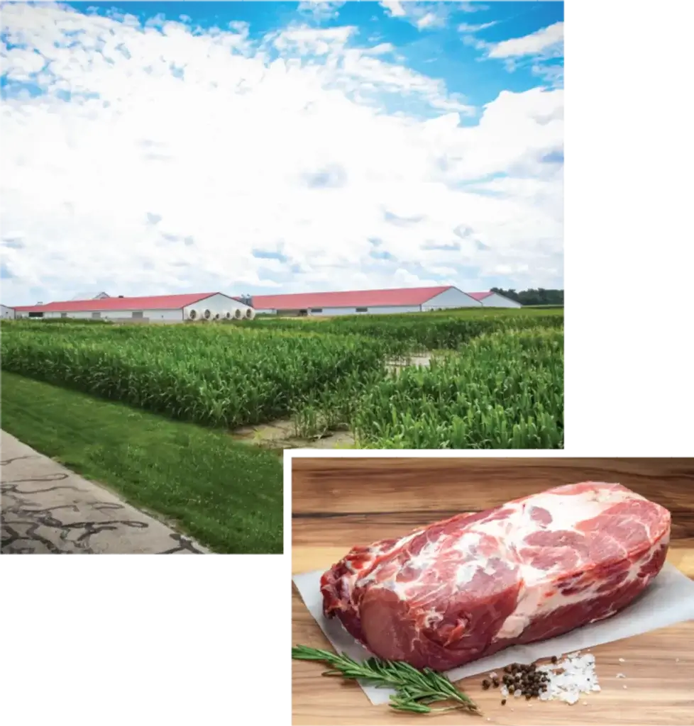 About 1 coleman farm and cut of pork